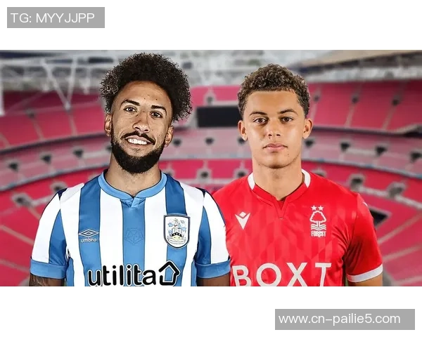 切菲尔德与布拉德福德的激烈对决展现英冠球队的实力与魅力