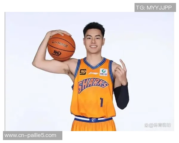 李添荣的奋斗历程与成就探索：从平凡到卓越的心路历程