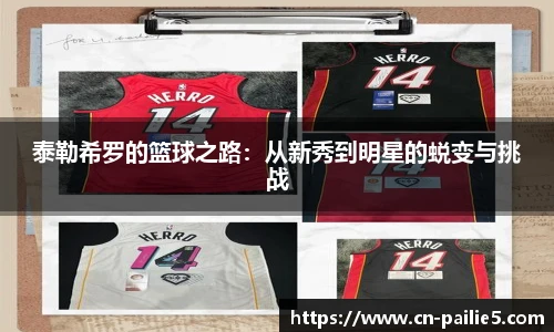 排列五走势图带连线