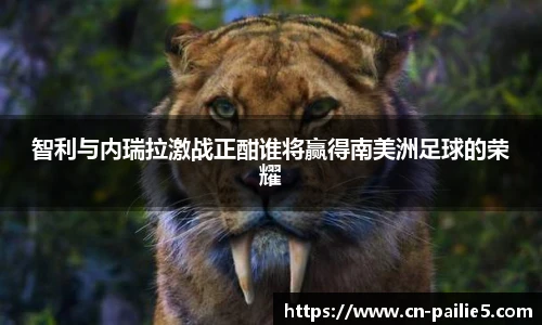 排列五走势图